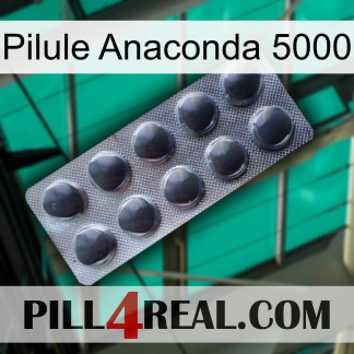 Anaconda 5000 Pill 30